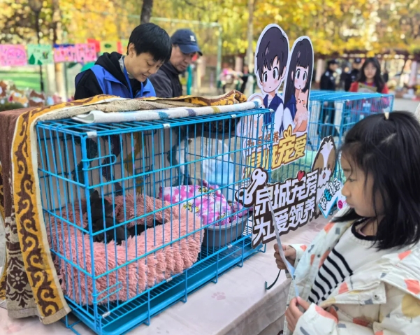 文明養(yǎng)寵，寵愛有方！魯商服務(wù)萌寵生活節(jié)圓滿落幕