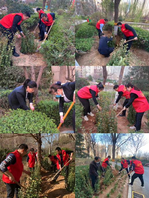 【涌光黨建】黨旗飄揚踐初心 植樹添綠正當時丨魯商服務(wù)濟南城市公司黨支部開展植樹節(jié)主題黨日活動